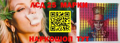 гидропоника Будённовск
