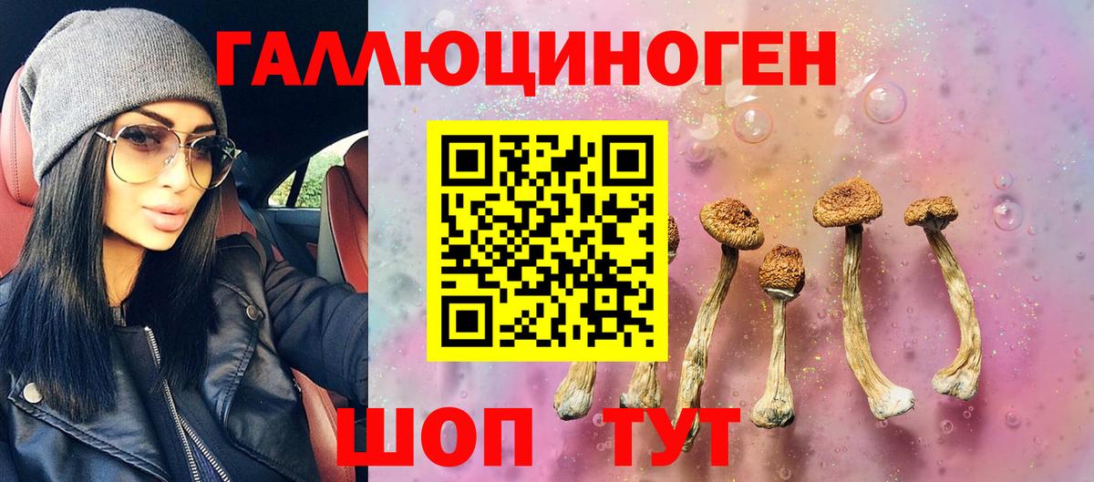 Псилоцибиновые грибы Cubensis  Вход с VPN  Коряжма 