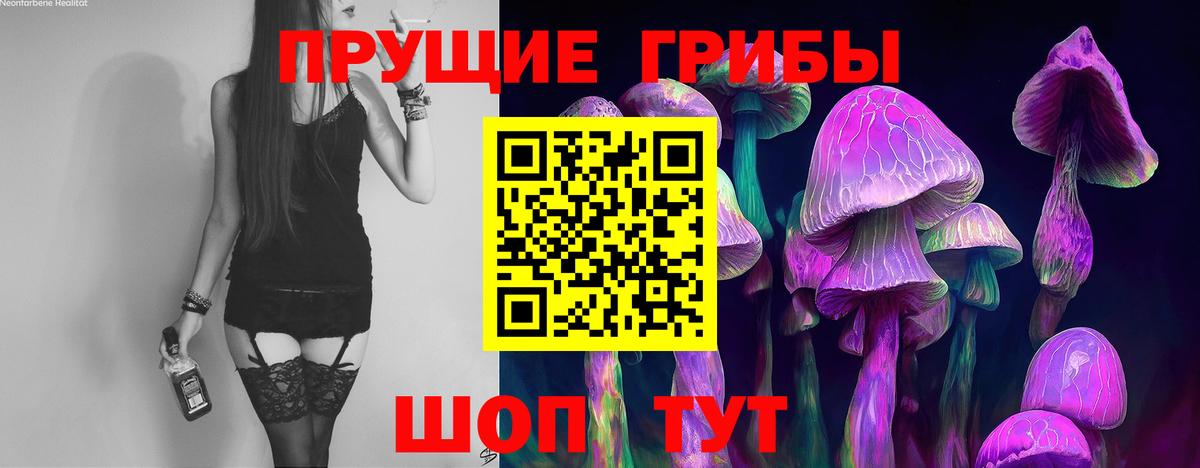 Псилоцибиновые грибы мухоморы Коряжма